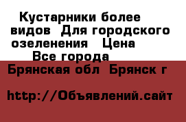 Кустарники более 100 видов. Для городского озеленения › Цена ­ 70 - Все города  »    . Брянская обл.,Брянск г.